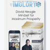 David Neagle Mindset for Maximum Prosperity