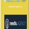 Needls Agency 1