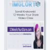 Sandi Krakowski 12 Weeks Your Store Video Class