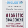 Sandi Krakowski Magnetic Engagement