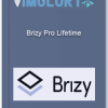 Brizy Pro Lifetime
