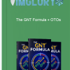 The GNT Formula OTOs 1