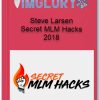Steve Larsen Secret MLM Hacks 2018