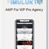 AMP For WP Pro Agency