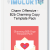 Charm Offensive – B2b Charming Copy Template Pack