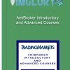 AmiBroker Introductory and Advanced Courses