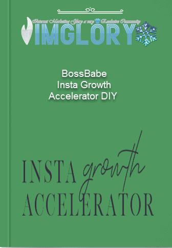 BossBabe – Insta Growth Accelerator DIY 1