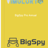 BigSpy Pro Annual