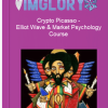 Crypto Picasso Elliot Wave Market Psychology Course