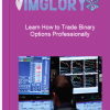 Learn How to Trade Binary Options Professionally