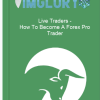 Live Traders How To Become A Forex Pro Trader