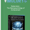 Sybervision The Neuropsychology of Achievement