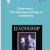 Sybervision The Neuropsychology of Leadership