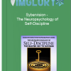 Sybervision The Neuropsychology of Self Discipline