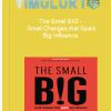 The Small BIG – Small Changes that Spark Big Influence