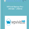 WPvivid Backup Pro Ultimate Lifetime