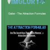 Gabe – The Attraction Formulas