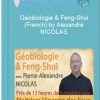 Géobiologie Feng Shui French by Alexandre NICOLAS