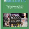 The Professional 70000 Graphic Asset Bundle
