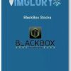 BlackBox Stocks
