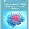 Elisha Goldstein – NICABM – Natural Ways to Work with Depression