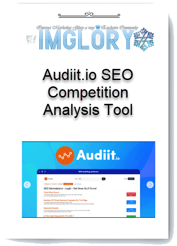 Audiit.io SEO Competition Analysis Tool