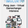 Peng Joon Virtual Gamechanger Intensive