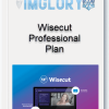 Wisecut Professional Plan