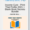 David Dill Income Cure Print That Profits 2021 Blank Book Secrets Bundle