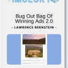Lawrence Bernstein Bug Out Bag Of Winning Ads 2.0