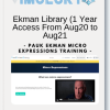 Pauk Ekman Micro Expressions Training