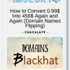 How to Convert 0.99 Into 456 Again and Again Domain Names Flipping
