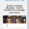 Sean Vosler Smart Leverage Bundle How to Combine Leverage The Power of Affiliate Marketing Consulting And Automated Systems to Design Create Your Online Empire