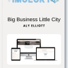 Aly Elliott - Big Business Little City