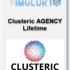 Clusteric