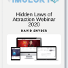 David Snyder - Hidden Laws of Attraction Webinar 2020