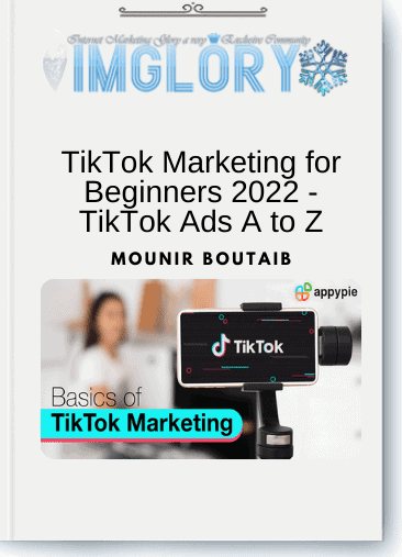 TikTok Marketing for Beginners 2022 - TikTok Ads A to Z