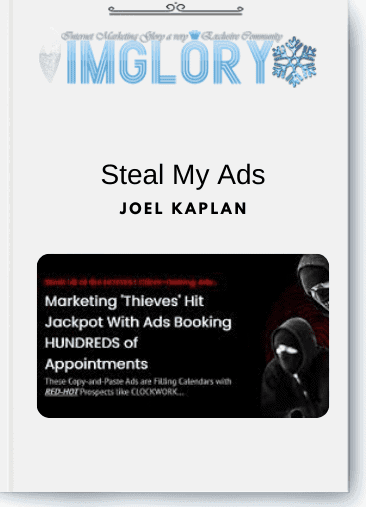 Joel Kaplan - Steal My Ads