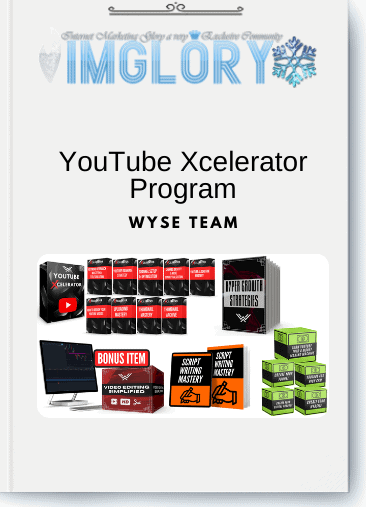 Wyse Team – YouTube Xcelerator Program