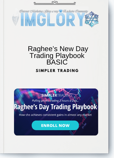 Raghee’s New Day Trading Playbook BASIC