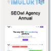 SEOwl Agency Annual