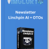 Newsletter Linchpin AI