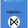 CapCut pro