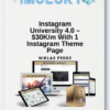 Niklas Pedde – Instagram University 4.0 – $30K/m With 1 Instagram Theme Page