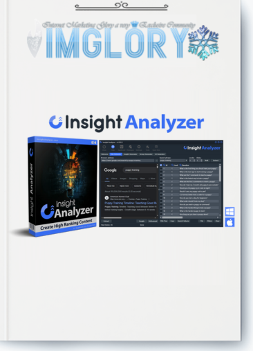 Insight Analyzer