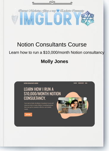 Notion Consultants Course