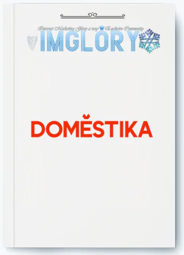 Domestika
