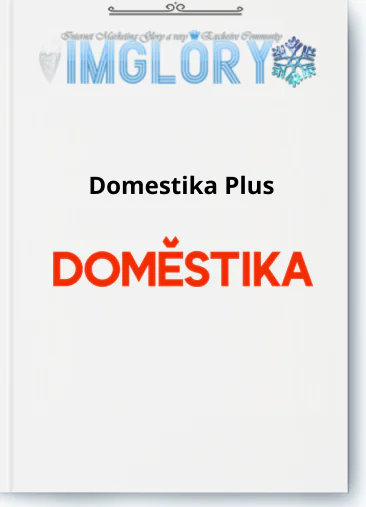 Domestika IMG